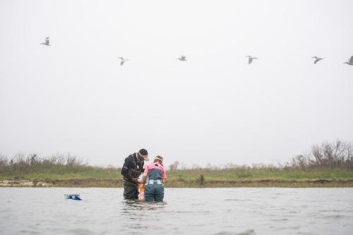 Matagorda Bay Ecosystem Assessment