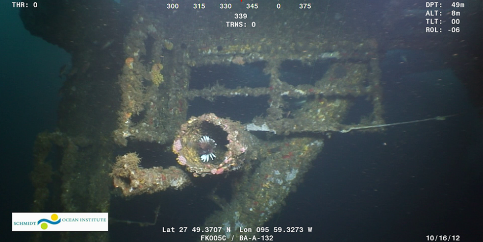 Documentation of lionfish by ROV survey at a toppled platform on site BA-A-132. Monitoring programs are important in order to document species invasions such as this one.