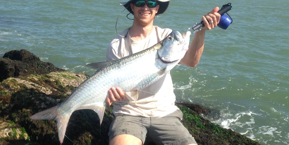 Tarpon 1