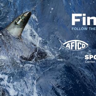 Fin Finder image